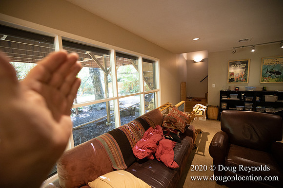 Jennifers House