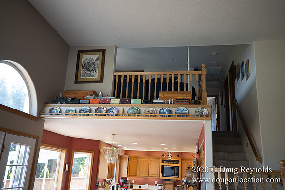 Andrew's House