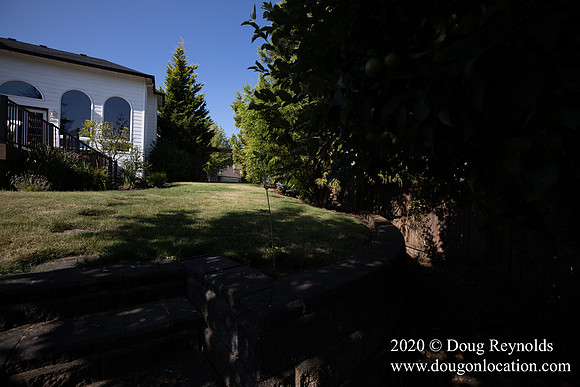 Andrew's House