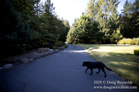 Brian's Yard and Riverfront