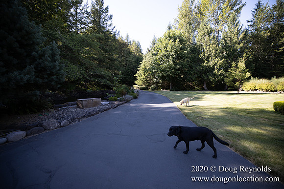 Brian's Yard and Riverfront