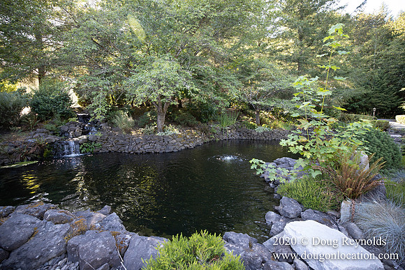 Brian's Yard and Riverfront