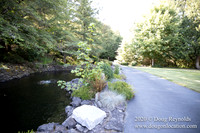 Brian's Yard and Riverfront