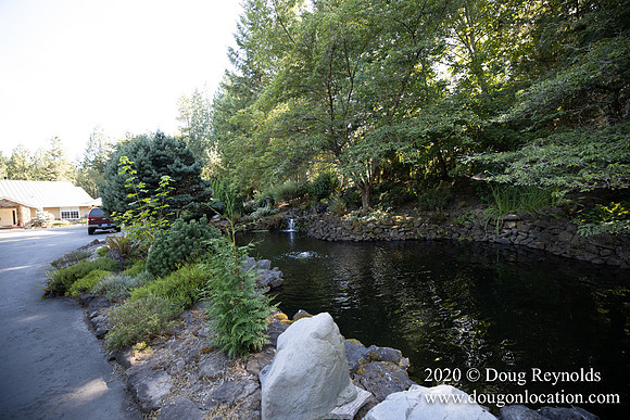 Brian's Yard and Riverfront