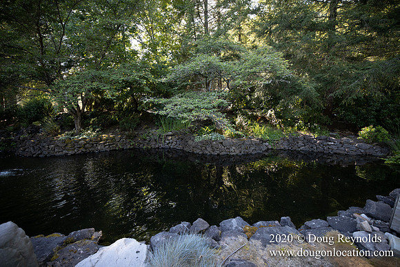 Brian's Yard and Riverfront