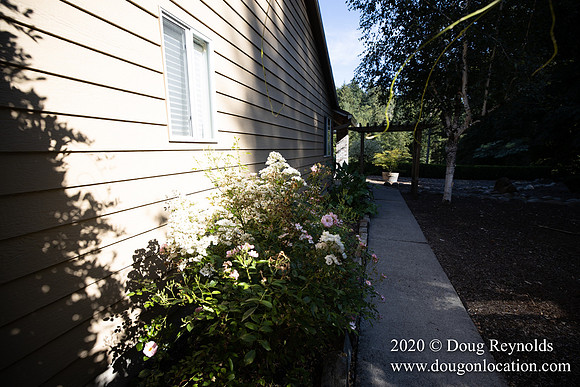 Brian's Yard and Riverfront