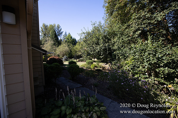 Brian's Yard and Riverfront
