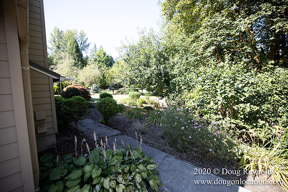 Brian's Yard and Riverfront