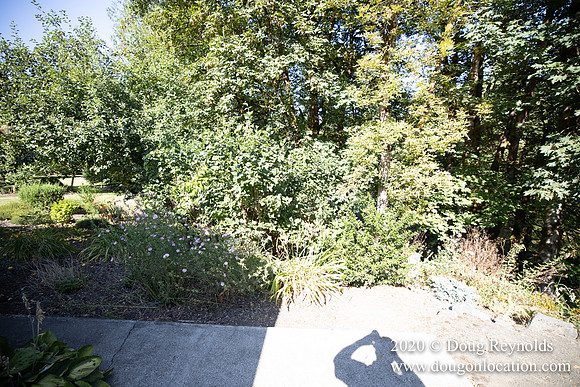 Brian's Yard and Riverfront