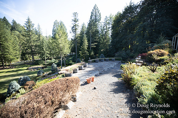 Brian's Yard and Riverfront
