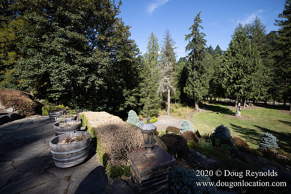 Brian's Yard and Riverfront