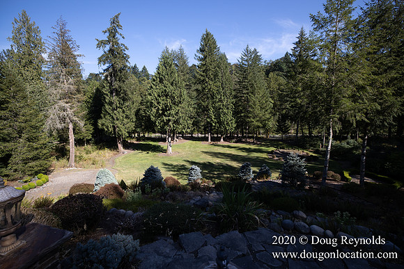 Brian's Yard and Riverfront