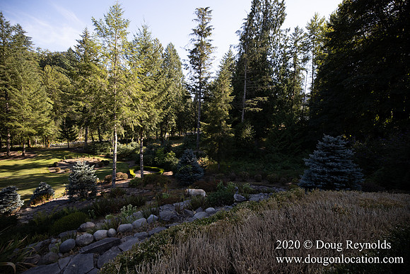 Brian's Yard and Riverfront
