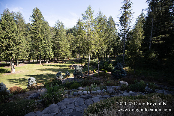 Brian's Yard and Riverfront