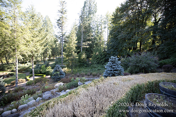 Brian's Yard and Riverfront
