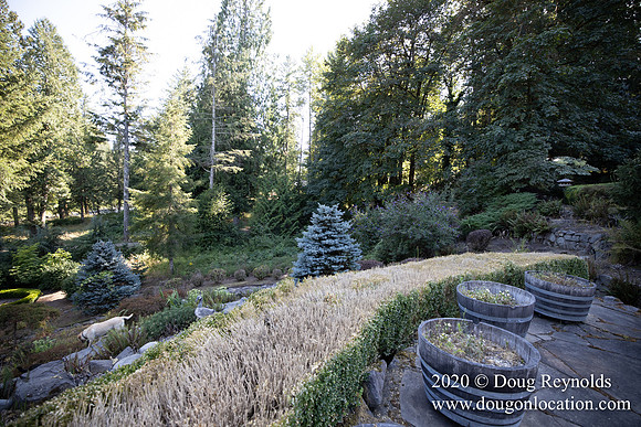 Brian's Yard and Riverfront