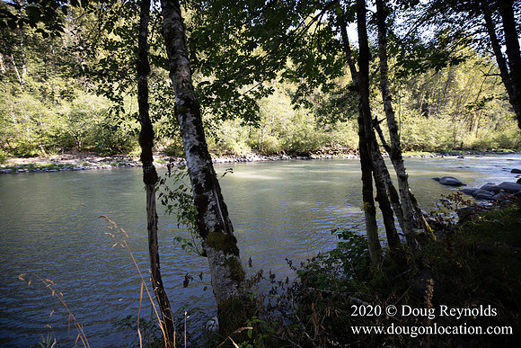 Brian's Yard and Riverfront