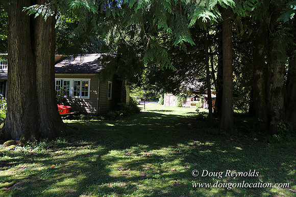Cabin ,Home, House, River, Yard, Shop, Barn, Garden, Stream,