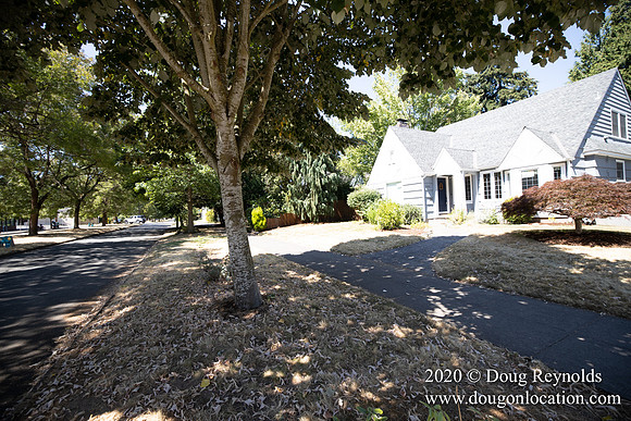 Jenny's House