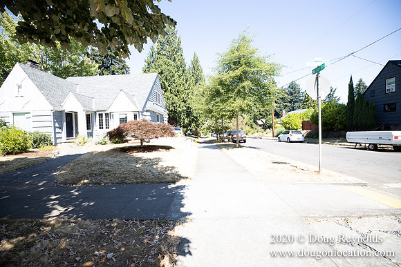 Jenny's House