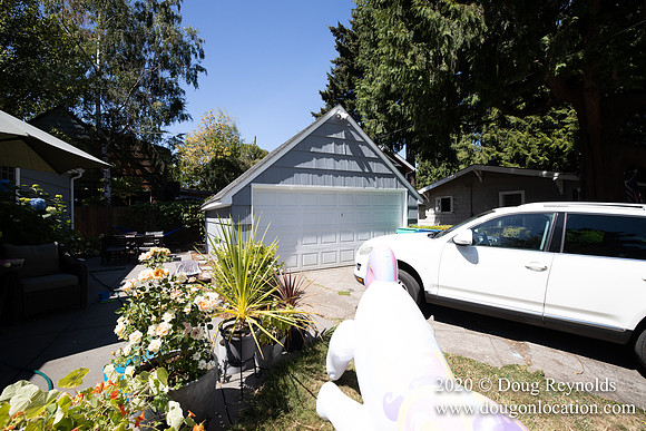 Jenny's House