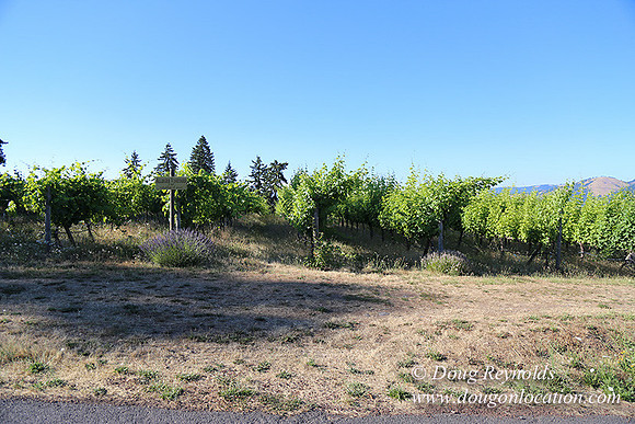 Eheck Hill-8436