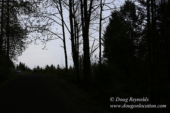 Brians Rd to the Gate-0301