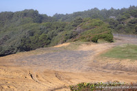 NE 100th  Sand Cliff Sand Cliff Hwy 101