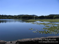 Vernonia Lake