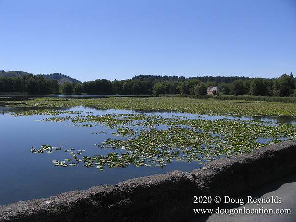 Vernonia Lake