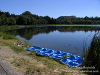 Vernonia Lake