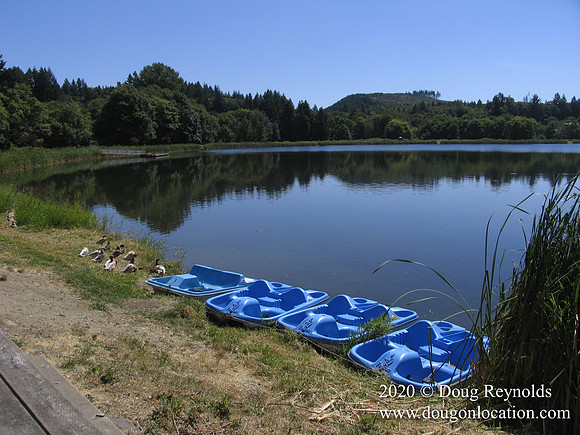 Vernonia Lake