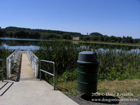 Vernonia Lake