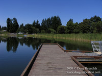 Vernonia Lake