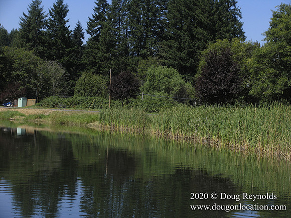 Vernonia Lake
