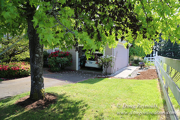 Marks House-6929