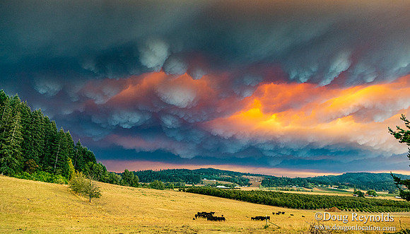 Rolling Smoke over Gaston, OR