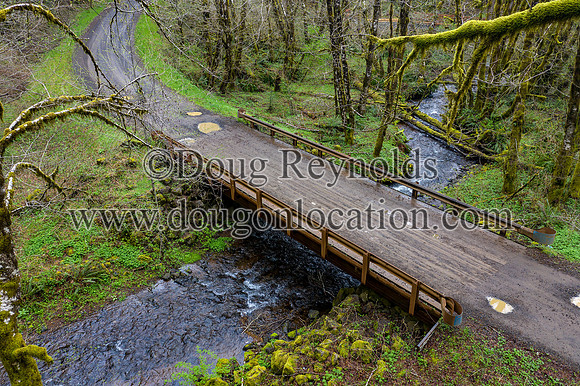 Jones Creek Bridge