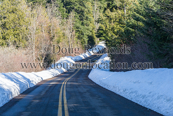 Lost Lake Rd with Snow