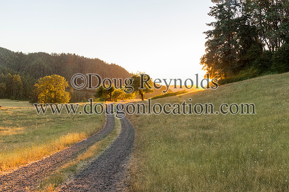 The Road at Sunset