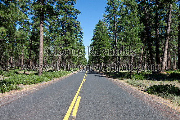 Hwy 242