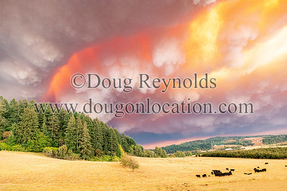 Rolling dramatic Fire smoke