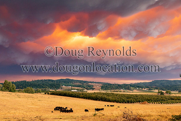 Rolling dramatic Fire smoke