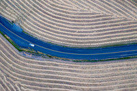County Road Striped Fields Above