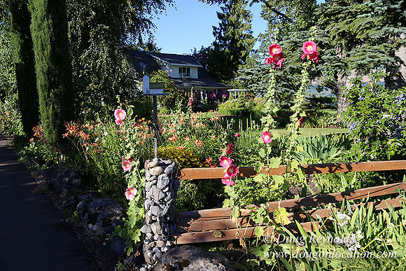 Patricks Farm Well maintained property, Lots of flowers Old Barn Farm House fruit trees Berries, Goats, Chicken’s, Turkey,