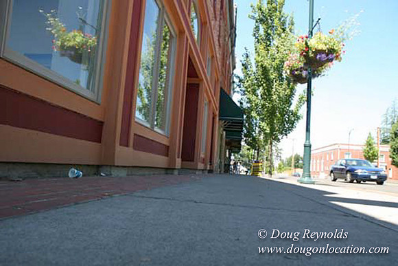 Forest Grove-5480