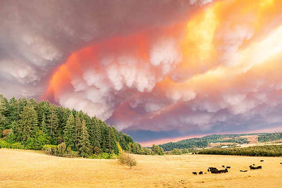 Rolling Fire Smoke