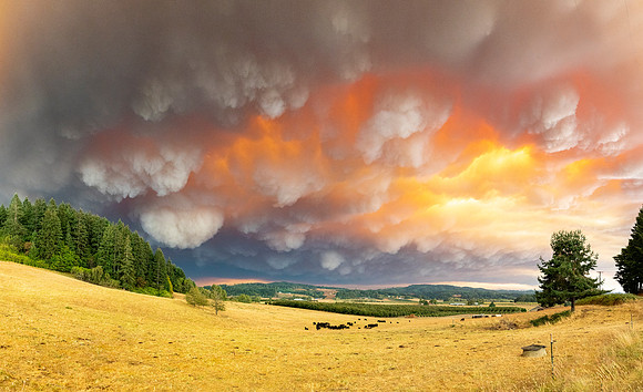 Rolling Fire Smoke