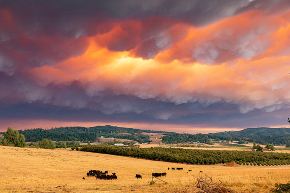 Rolling Fire Smoke