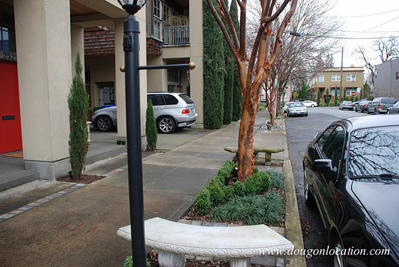 Upshur Rowhouses-0678